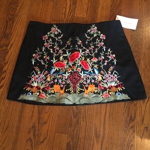 Zara Skirt Embroidery